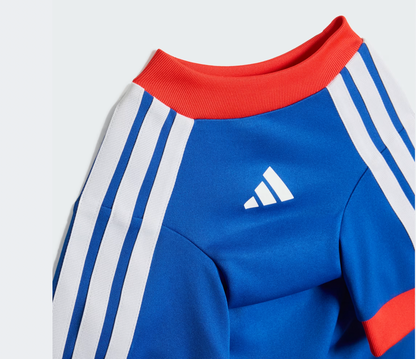 FIFA World Cup Dog Jersey — Nation Pack