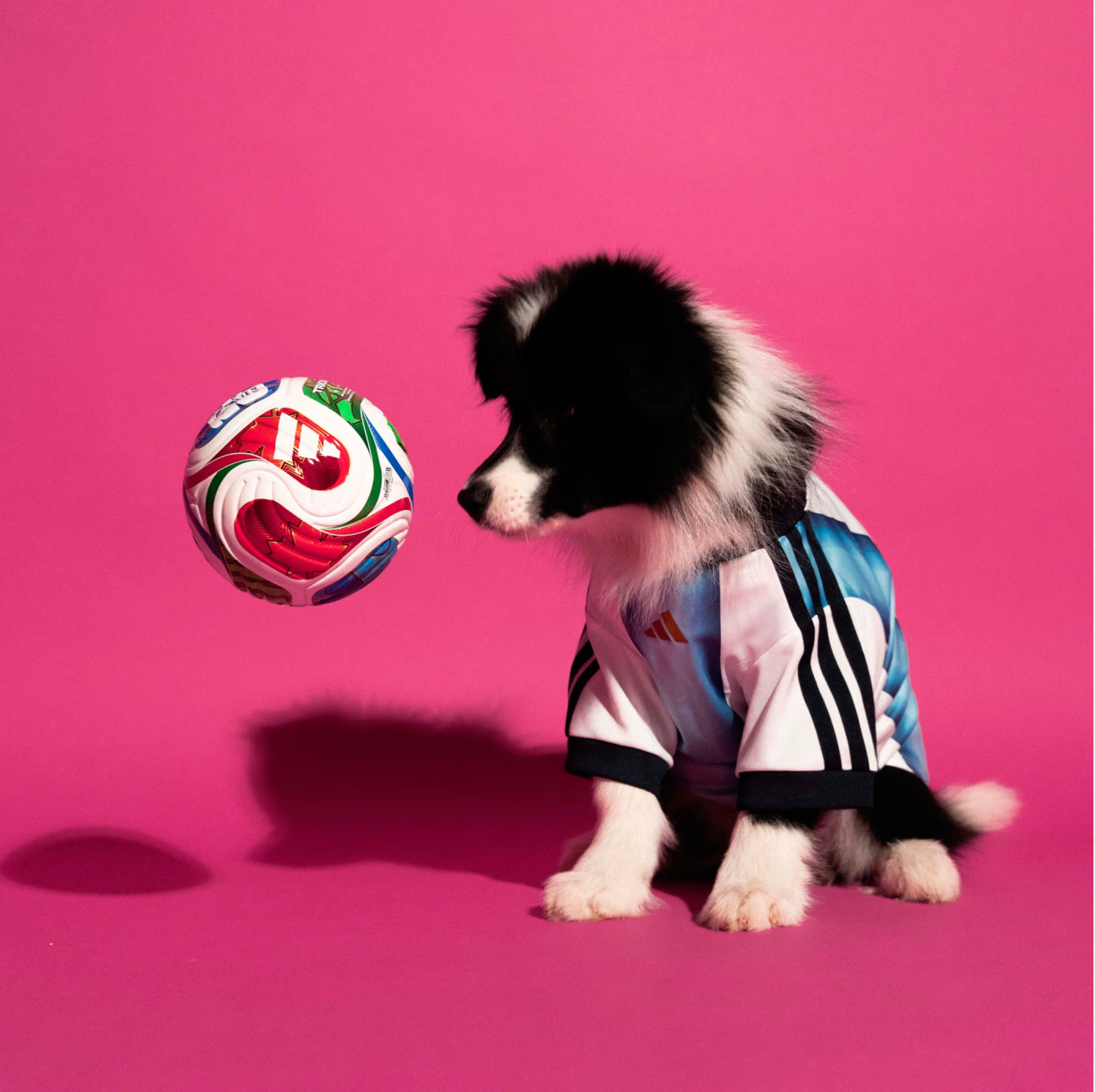 FIFA World Cup Dog Jersey — Nation Pack