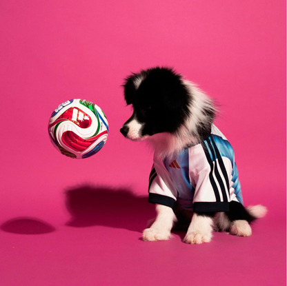 FIFA World Cup Dog Jersey — Nation Pack