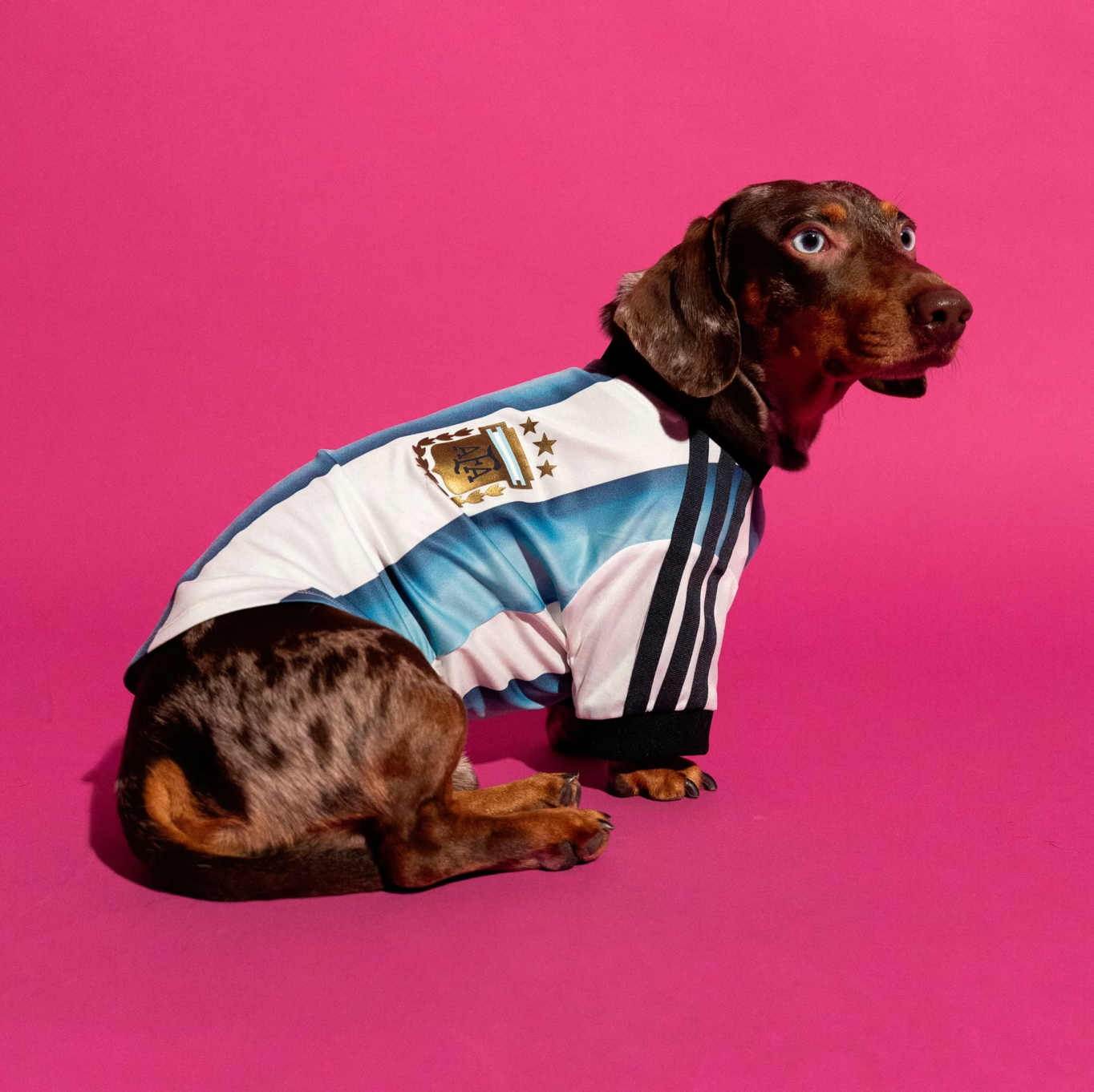 FIFA World Cup Dog Jersey — Nation Pack