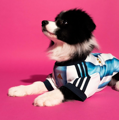 FIFA World Cup Dog Jersey — Nation Pack