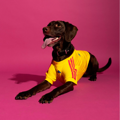 FIFA World Cup Dog Jersey — Nation Pack