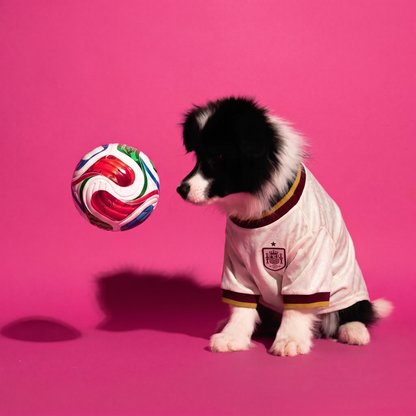 Dog in Spain jersey with soccer ball