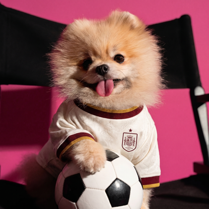 Spain dog jersey close-up with crest and soccer ball