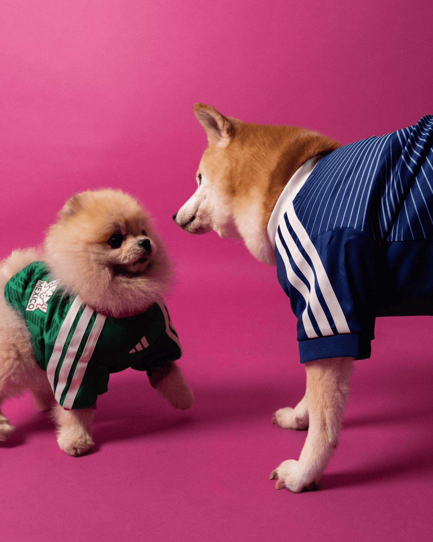 FIFA World Cup Dog Jersey — Nation Pack