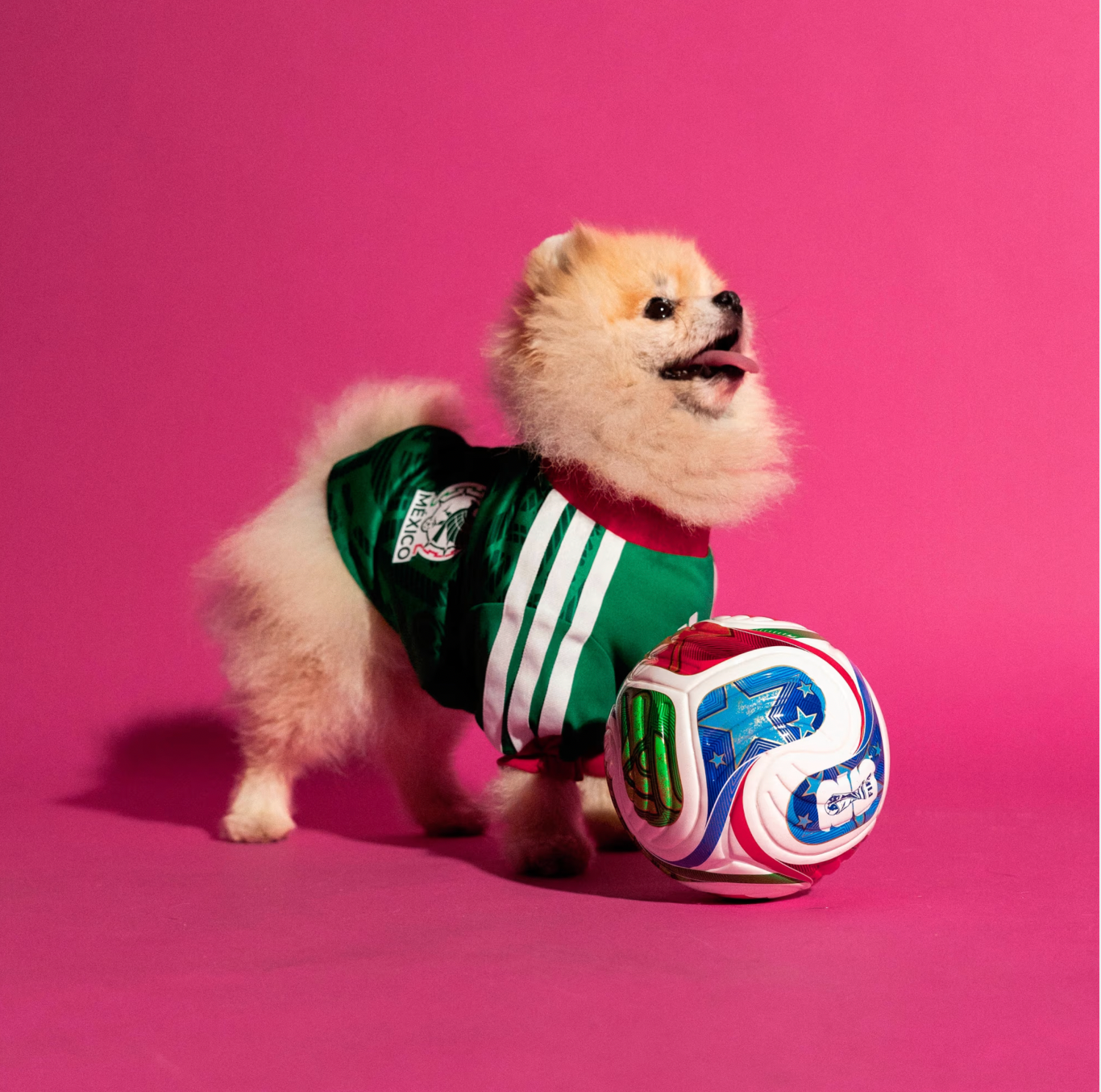 FIFA World Cup Dog Jersey — Nation Pack