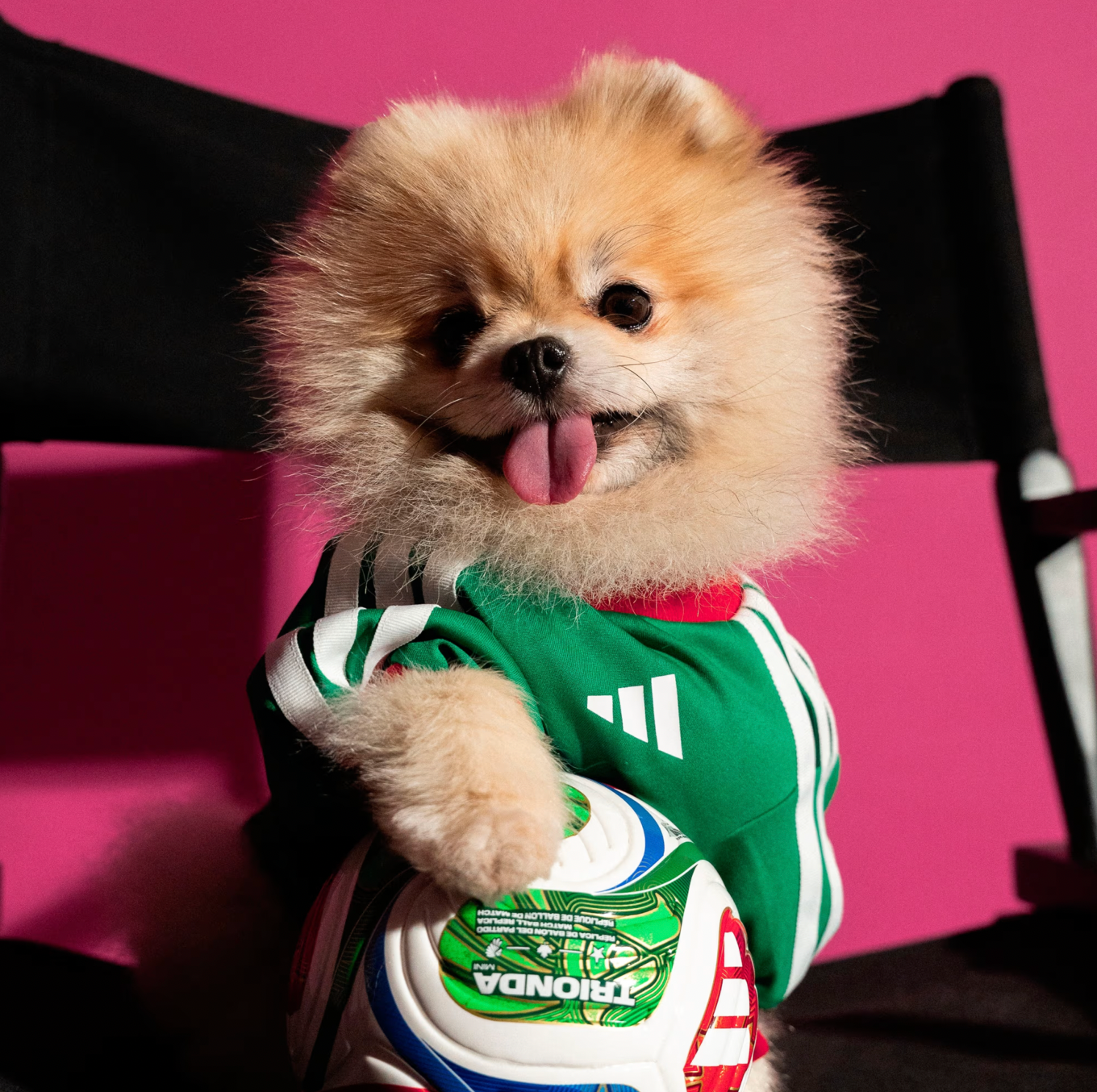 FIFA World Cup Dog Jersey — Nation Pack