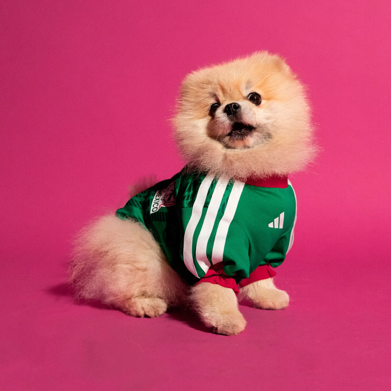 FIFA World Cup Dog Jersey — Nation Pack