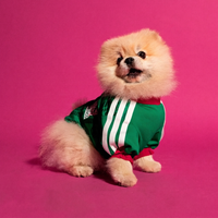 FIFA World Cup Dog Jersey — Nation Pack