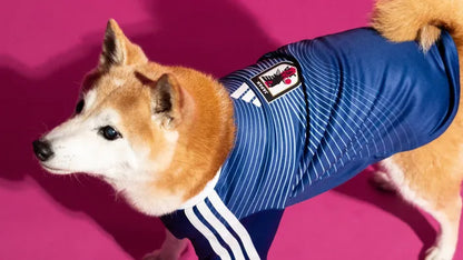 FIFA World Cup Dog Jersey — Nation Pack